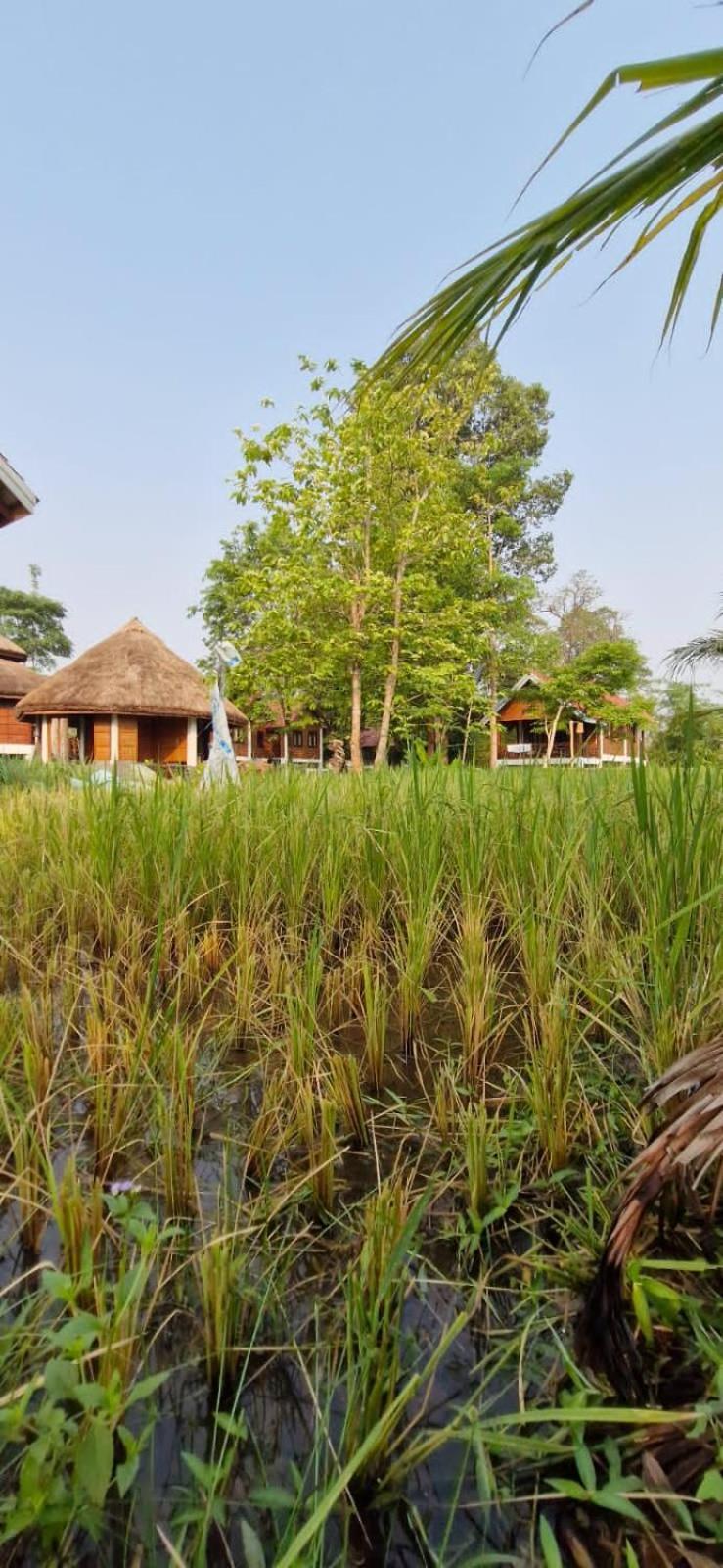 Bolaven Garden Bungalow And Tent - Tad Lo Ban Kiangtat 외부 사진