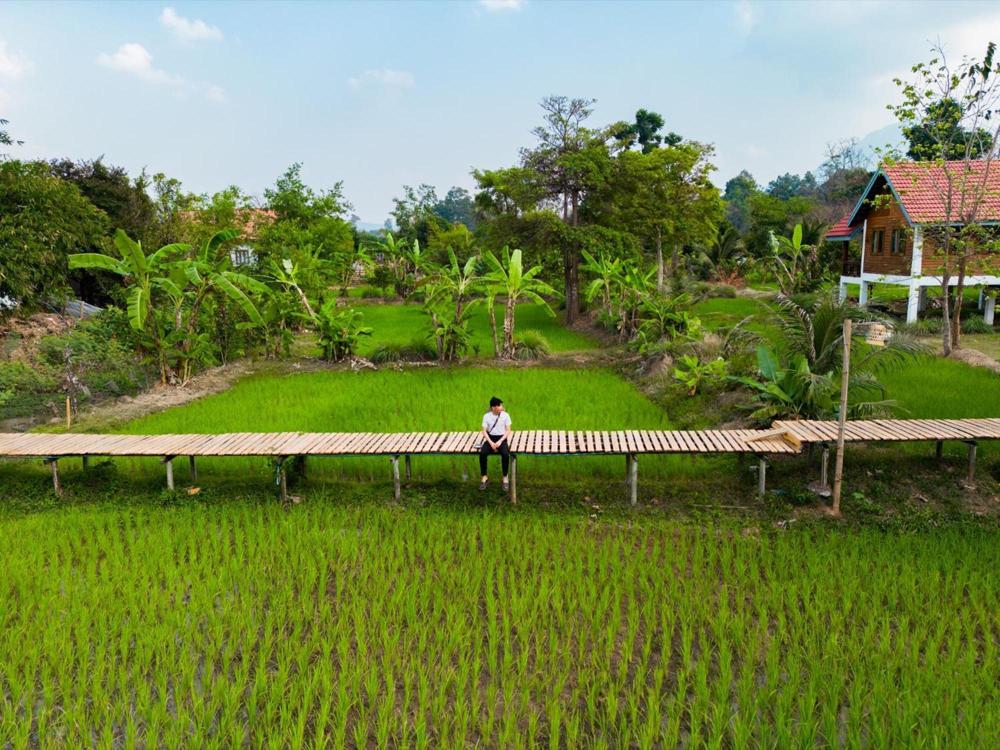 Bolaven Garden Bungalow And Tent - Tad Lo Ban Kiangtat 외부 사진