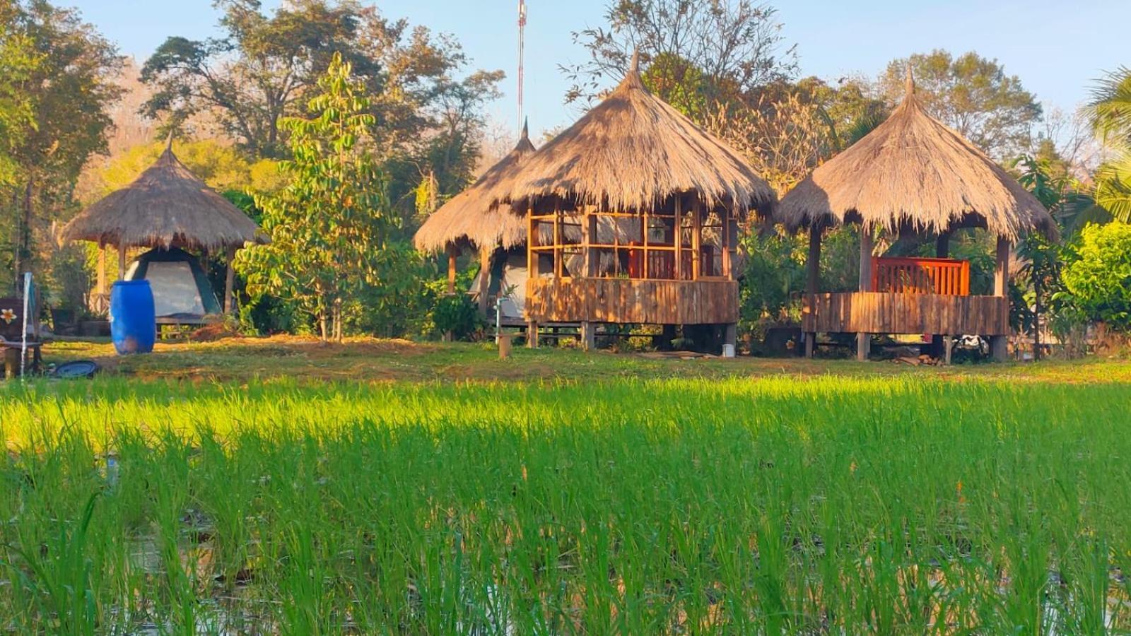 Bolaven Garden Bungalow And Tent - Tad Lo Ban Kiangtat 외부 사진